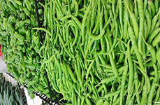 重慶聚庭農(nóng)業(yè)開(kāi)發(fā)有限公司